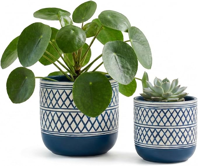 Decorative Ceramic Flower Pots Set of 2 – 6 & 4.7 Inch Indoor Plant Pots, Boho Decorative Pots for Plants, Orchid & Succulent Planters with Drainage