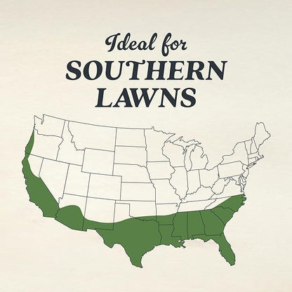 O.M. Scott and Sons Dichondra Seed, Lawn Seed for a Low-Maintenance, No-Mow Yard, Covers up to 1,500 sq. ft., 1.5 lb.