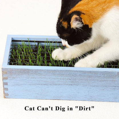 Wooden Cat Grass Planter (no Seeds Included) with Anti Digging Design, and Removable Plastic Liner, Wheat Grass Growing Pot, Cat Grass for Indoor Cats Pets (Vintage Blue)