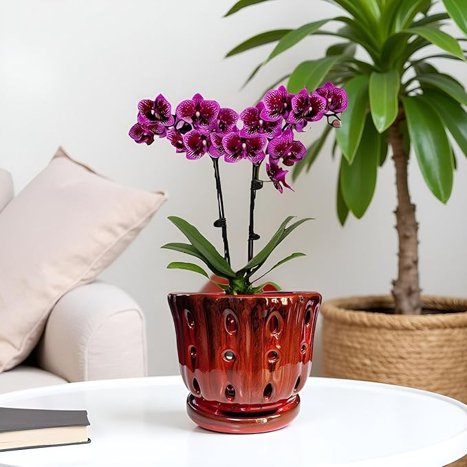 Ceramic Orchid Pot with Attached Saucer and Drainage Hole 6'' Orchid Planter (Red)