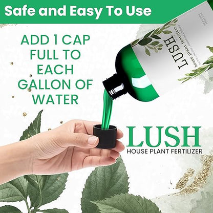 Lush Houseplant Fertilizer – Concentrated Liquid Plant Food (Makes 50+ Gallons) – 3-1-2 NPK for Indoor Plants, Monstera, Pothos & More - 500ml Concentrate