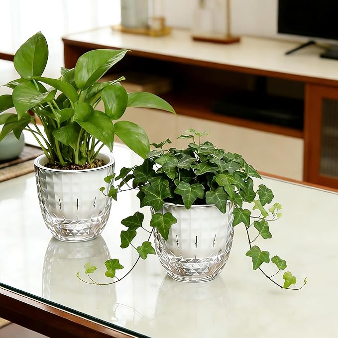 2 Pack 6 inch Self Watering Pots Planters for Indoor Plants, African Violets Pots with Wick Rope, Modern Plastic Nursery Pots for All House Plants,Flowers Succulents,Herbs,Cactus,Orchids