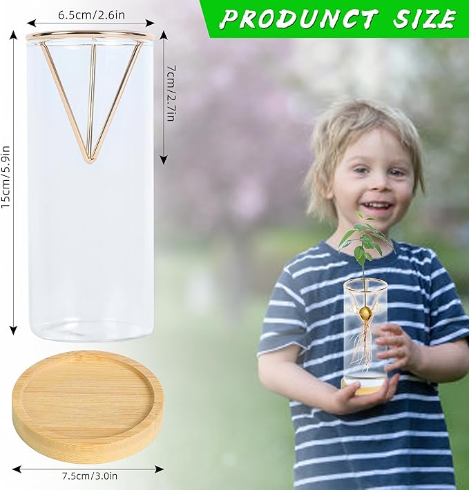2 Pack Avocado Tree Growing Kits - Avocado Growing Vase - Avocado Seed Starter Vase Glass Plant Pot Easy Seed Sprout Starter Gift for Women Gardening Lovers Home Office Table Decoration (Gold)