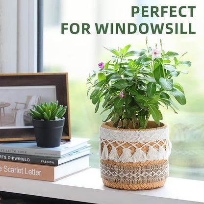 Concrete Rattan-Style Plant Basket Planter, 5" Boho Plant Pots Indoor Outdoor with Drainage Hole, Flower Pot for Succulents, Herbs, Modern Farmhouse Decor, Ideal Gift for Plant Lovers