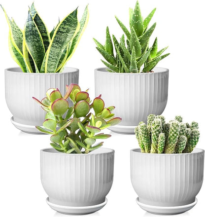 5.5 Inch Plant Pot, Ceramic Planter with Drainage and Saucer，Ceramic Pots for Plants, Indoor Plant pots，Succulent Orchid Flower Pot(Pure White,4 Pack)