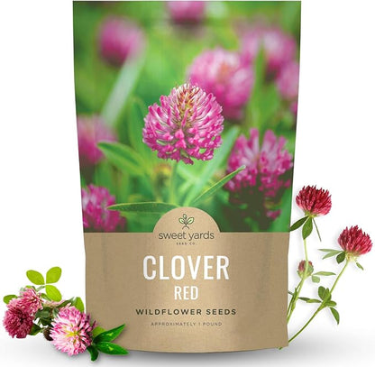 Red Clover - Bulk 1 Pound Pouch - 240,000 Flower Seeds for Planting - Trifolium pratense