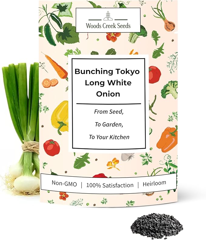 Tokyo Long White Bunching Onion Seeds – Heirloom Non-GMO Green Onion & Scallion Variety for Planting Outdoors | Woods Creek Seeds