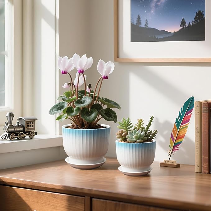 6.7 + 5.5 Inch Ceramic Plant Pots,Planters with Drainage and Saucer,Indoor Pots for Plants,Modern Flower Pots for Home and Office（Blue + White）