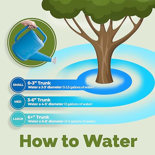 Dracaena Fertilizer - Liquid Plant Food for All Dracaena Plants and Trees, 32 oz