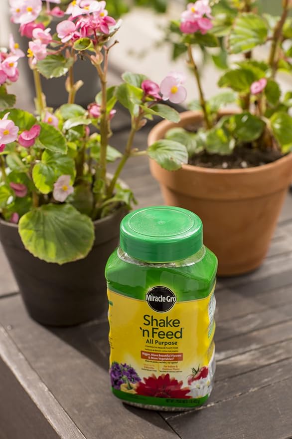 Miracle-Gro Shake 'n Feed All Purpose Continuous Release Plant Food, 1-Pound (Slow Release Plant Fertilizer)