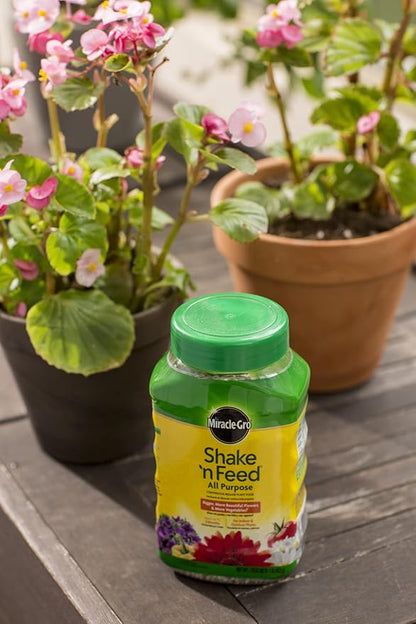 Miracle-Gro Shake 'n Feed All Purpose Continuous Release Plant Food, 1-Pound (Slow Release Plant Fertilizer)