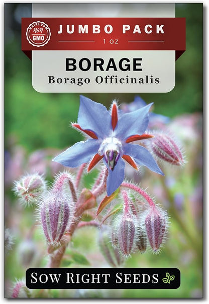 Sow Right Seeds - Bulk Borage Seeds for Planting - 1 Ounce, 1200 Seeds - Non-GMO Heirloom - Jumbo Pack with Instructions to Plant a Home Herb Garden Outdoors - Enjoy a Bountiful Harvest