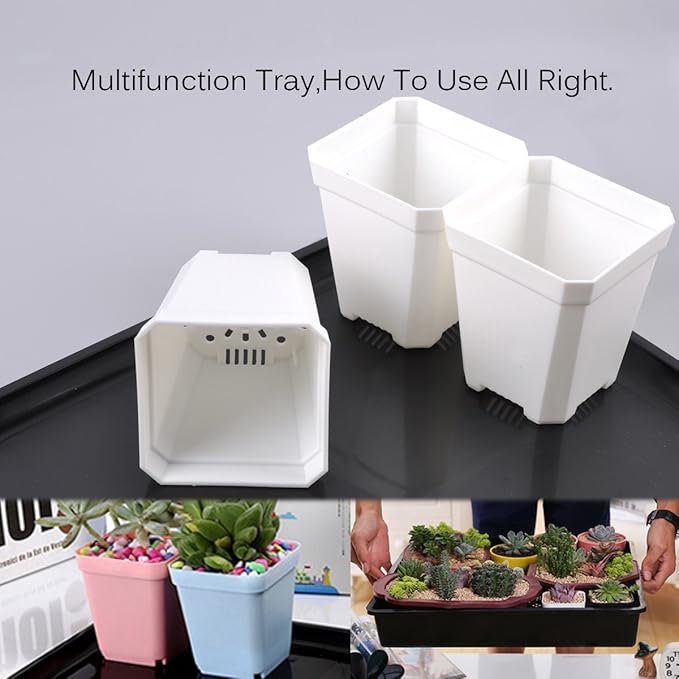 eZAKKA 37x30cm Seed Starter Tray Seedling Starter Kit Planting Propagation Trays Germination Kit Humidity Dome with 20 Pieces Square Seed Starter Pots (White Pots)