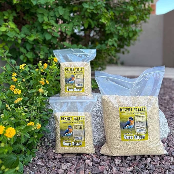 Desert Valley White Millet Seed, All Natural, Non-GMO Premium Wild Bird Food for Cardinals, Finch, Song Birds, Buntings and More (3 Pounds)