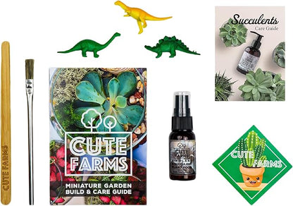 Cute Farms Glass Terrarium Kit | Just Add Your Own Plants (Geometric Glass)