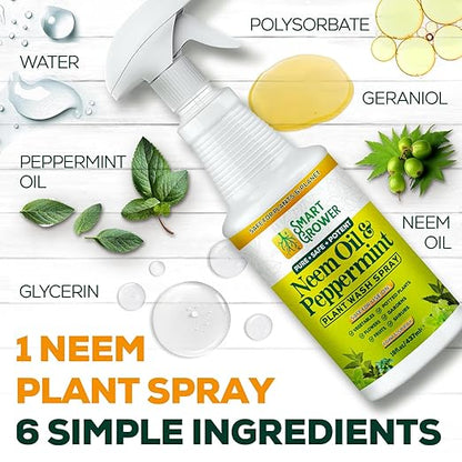 Neem Oil Spray for Plants with Peppermint Oil, Natural Plant Wash Made for Indoor and Outdoor Plants Smart Grower 16oz Easy Ready to Use Spray