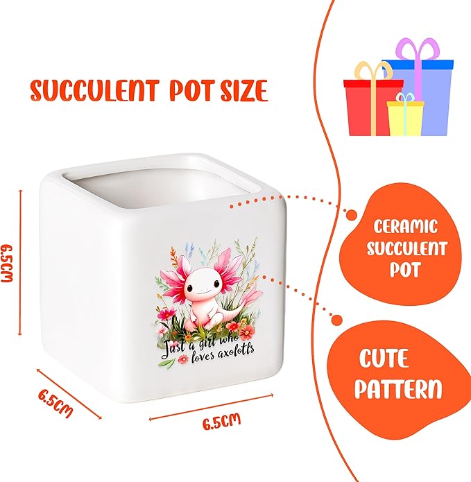 Axolotl Succulent Planter Flower Plant Pot Small, Gifts for Women Teens Girls Kids, Axolotl Lovers Themed Stuff Accessories Things Decor Merch, Home Office Table Desk Decoration!