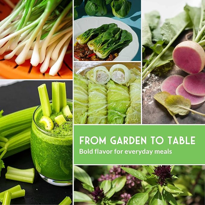 Survival Garden Seeds - Asian Vegetable Collection Seed Vault for Planting - Thai Basil, Napa Cabbage, Canton Pak Choi, Chinese Celery, Green Onions, Watermelon Radish - Non-GMO Heirloom Varieties