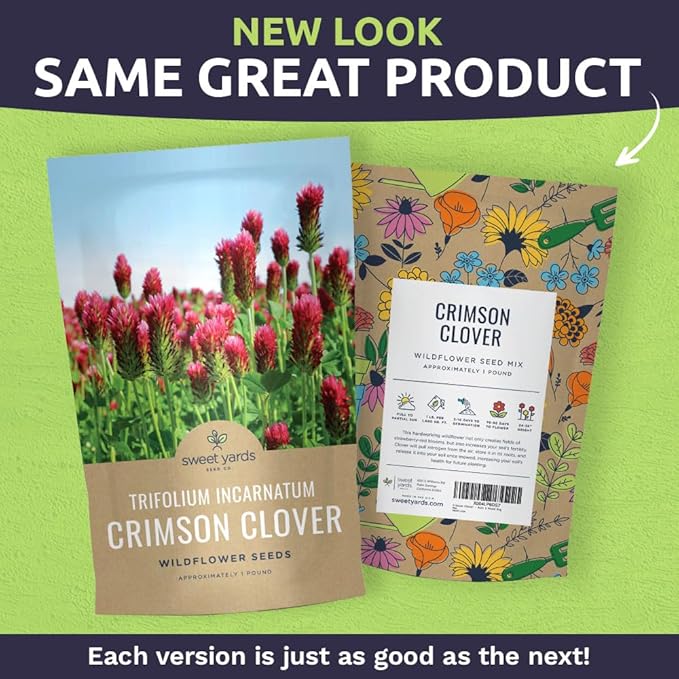 Crimson Clover Seeds for Planting – Bulk 1 Pound Bag – Over 80,000 Open Pollinated Non-GMO Seeds – Trifolium incarnatum
