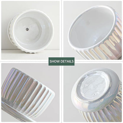 Ton Sin White Plant Pots,Pearl Gold Ceramic Flower Pots 4"+5"+6" Inch Indoor Succulent Pot with Drainage Hole - Decorative Orchid Pots and Herb Pots Set of 3