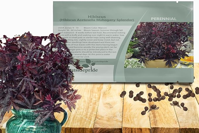 Outsidepride Mahogany Splendor Hibiscus Seeds - 20 Pcs Perennial Flower Seeds for Planting Pollinator-Friendly, Elegant & Dense Deep Burgundy Foliage for Containers, Pots, & Garden Spaces