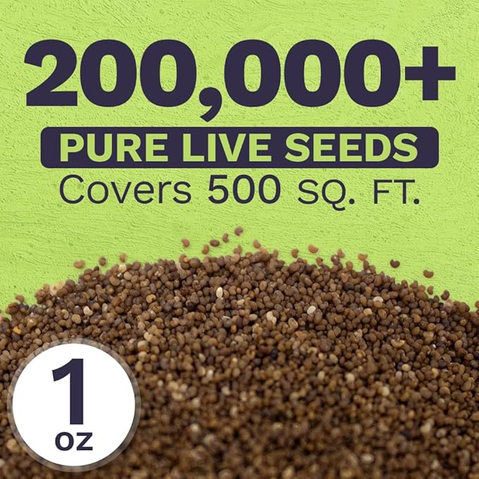Shirley Poppy Seeds – Mixed Colors – Extra Large Packet – Over 200,000 Open Pollinated Non-GMO Wildflower Seeds – Papaver rhoeas