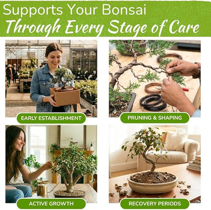 Bonsai Tree Food | Premium, Gentle Liquid Fertilizer for Healthy Growth, Strong Stems and Beautiful Blooms | 3-3-3 Balanced NPK Concentrate | Made in USA | 8 oz (240 ml)