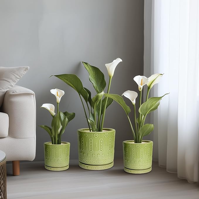 Ceramic Planter - 12 Inch Pots for Plants Indoor Outdoor, Round Large Flower Pots with Drainage Hole and Saucer, Decorative Boho Planter, Home Office Decor, Plant Lover Gifts, Green