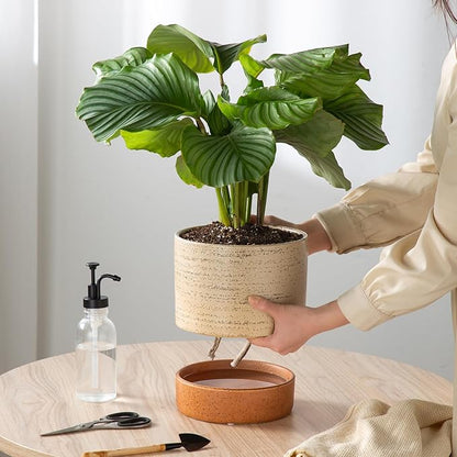 Self Watering Ceramic Planter: 8 Inch Plant Pot with Drainage Hole & Water Storage Plus for Outdoor & Indoor Plants, Succulents, Herbs - Flower Pot for Home or Office Decor - Brush