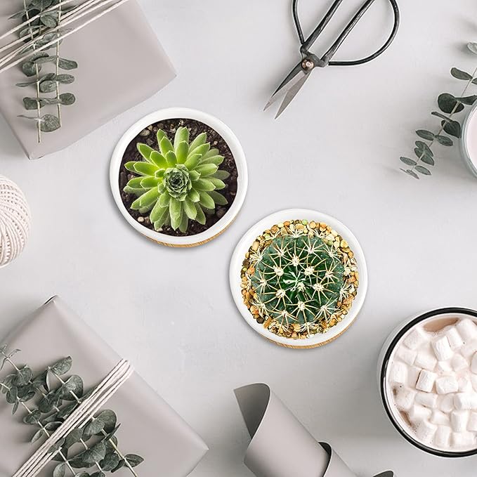 Tosnail 12 Pack 2.5 Inch Small Succulent Pots with 12 Bamboo Trays, Round White Ceramic Mini Plant Pots, Tiny Succulent Planters, Cactus, Flower, Air Plant Containers, Modern Home and Office Decor