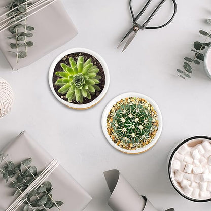Tosnail 12 Pack 2.5 Inch Small Succulent Pots with 12 Bamboo Trays, Round White Ceramic Mini Plant Pots, Tiny Succulent Planters, Cactus, Flower, Air Plant Containers, Modern Home and Office Decor