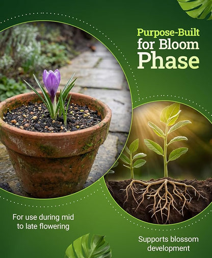 FoxFarm Beastie Bloomz Water Soluble Fertilizer for Mid-Flowering Stage, High Phosphorus Fertilizer 0-50-30, Supports Blossom Development, Easily Dilutes in Water, Ideal for Hydroponics & Soil, 6 oz