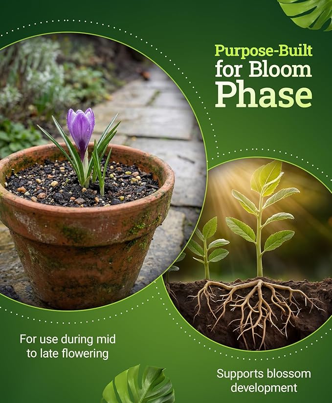 FoxFarm Beastie Bloomz Water Soluble Fertilizer for Mid-Flowering Stage, High Phosphorus Fertilizer 0-50-30, Supports Blossom Development, Easily Dilutes in Water, Ideal for Hydroponics & Soil, 2 lb