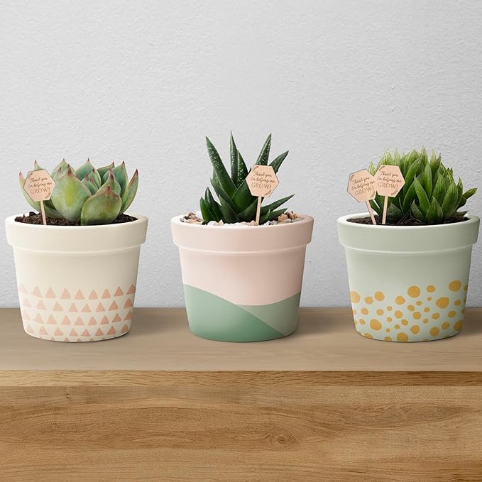 30Pcs Thank You for Helping Me Grow Succulent Tags Wedding Favors, Hexagon Baby Succulents Favors Tags Wooden Plant Labels, Teachers Appreciation Gift Wooden Garden Stakes Thanksgiving Gift Tag