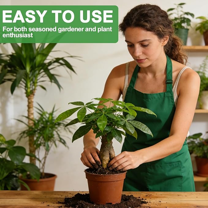 All-Natural Money Tree Soil & Indoor Potting Mix 2QT - Drainage-Enhanced Plant Soil for Healthy Indoor Plants