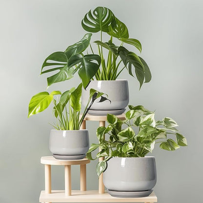 G EPGardening Ceramic Plant Pots - 7 Inch Plant Pot with Drainage and Saucer, Ceramic Planters for Indoor Outdoor Plants, Modern Round Planter, Room Decor, Gardening Gifts for Women Men, Light Grey