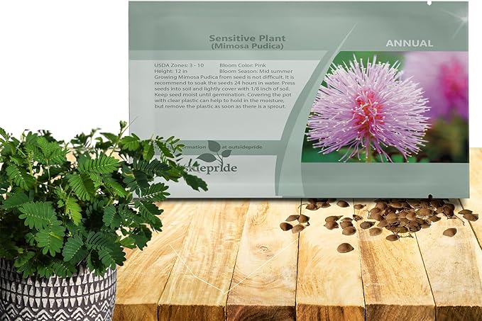 Outsidepride Mimosa Pudica Seeds - 1000 Pcs Annual, Easy to Grow, Sensitive Plant Seeds for Planting, Great for Educational Projects & Garden Displays