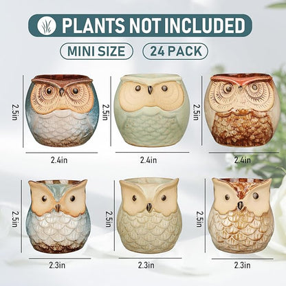 Nitial 24 Pack Owl Succulent Plant Pots Mini Small Ceramic Pots with Drainage Hole Cute Planters for Plants, Plants Not Included, Home Office Desk Garden Gift Ideas, 2 Size