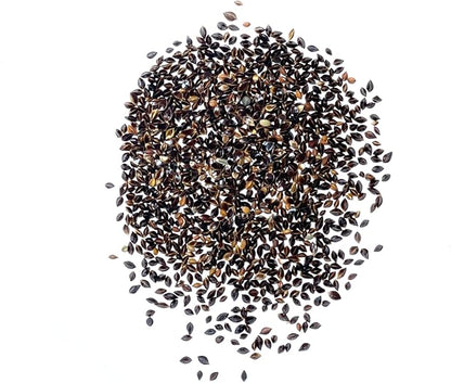 Seed Needs Large Leaf Sorrel Seeds for Planting - Heirloom Non-GMO & Untreated Medicinal or Culinary Herb - Grow a Home Grown Outdoor Garden (2 Packs)