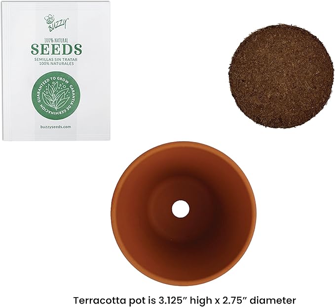 BUZZY Seeds Sunflower Starter Kit Bulk 10 Pack – 3inch Terracotta Pots, Soil Pellets, Flower Seeds for DIY Craft Projects, Favors, and Seed Starting