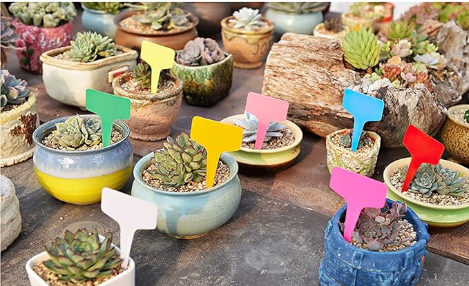 100 Pcs 5.5 x10cm Plastic Plant T-Type Tags Nursery Garden Labels, Garden Plant Markers, Waterproof Garden Signs for Outdoor Garden Plants Garden Potted Plants