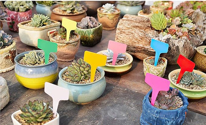 100 Pcs 5.5 x10cm Plastic Plant T-Type Tags Nursery Garden Labels, Garden Plant Markers, Waterproof Garden Signs for Outdoor Garden Plants Garden Potted Plants