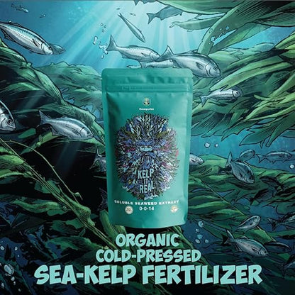 Kelp it Real Organic Seaweed Fertilizer for Plants - Makes 400 gallons - OMRI Listed - Vegan Certified - for Indoor Gardeners, Houseplants, Fruits, Vegetables, Hydroponics (1lb)