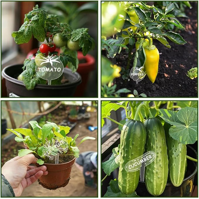 arricraft 15 Pcs Clear Vegetable Shape Acrylic Plant Tags, Hand Painted Graffiti Style Vegetable Themed Waterproof Garden Stake Labels for Indoor Outdoor Potted Plants Nursery Marker Decoration