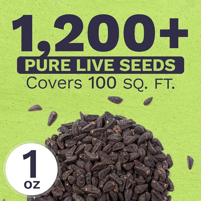 Morning Glory Seeds Heavenly Blue - Large 1 Ounce Packet - Over 1,000 Flower Seeds