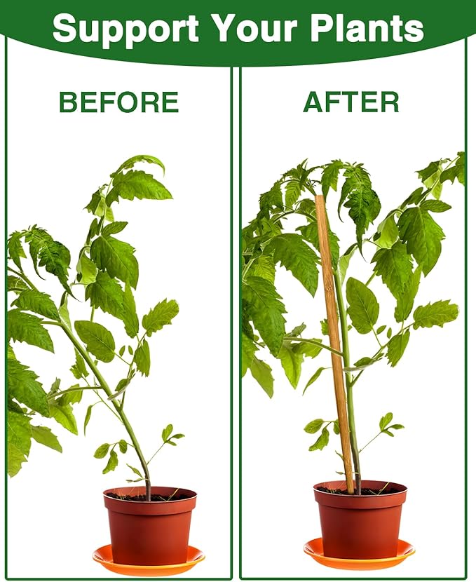 Strong Bamboo Sticks for Plants,18 Inch Tall Bamboo Poles for Plants, Plant Stakes for House Outdoor Indoor, Wood Garden Stakes for Potted Tomato Flower, 12 Pieces Long Wooden Rods Heavy Duty Support