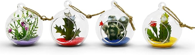 WGV Hanging Terrarium Globe, Width 2.25", Height 2.75", DIY Air Succulent Planter, Clear Glass Vase Orb with Flat Bottom, Candle Holder for Windowsill Outdoor Garden Decor, 6 Pieces Bulk