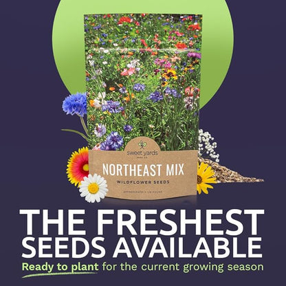 Sweet Yards - Northeast Wildflower Seed Regional Mixes - Bulk 1/4 Pound Bag - Over 30,000 Native Seeds - Open Pollinated and Non GMO Varieties for New York, Virginia, Pennsylvania, Maine and More!