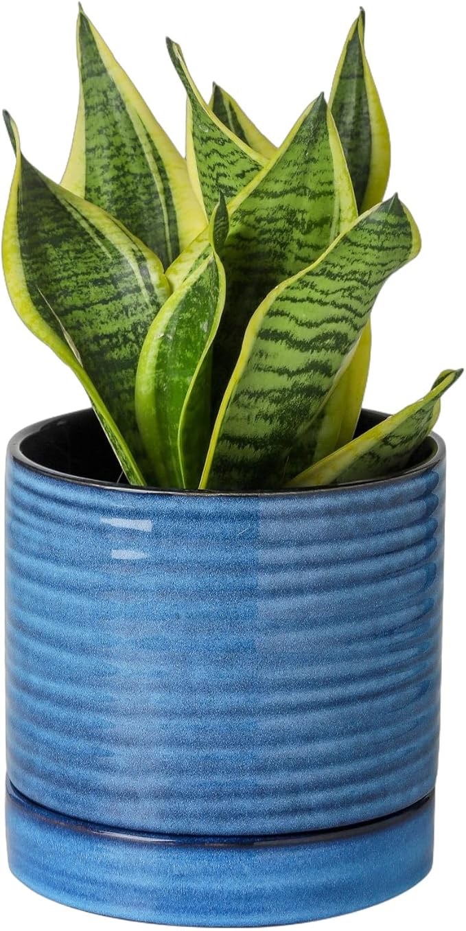 HASENSE 6 Inch Plant Pot, Porcelain Planter Pot with Drainage Hole and Tray, Indoor/Outdoor Reactive Glazes Succulent Cactus Planter, Modern Decorative Gifts for Family and Friends, Blue