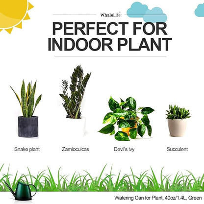 WhaleLife Small Indoor Watering Can for House Plants - Stylish Green Plastic Watering Pitcher with Long Spout for Potted Plants, Succulents, and Desk Gardens 1.4L